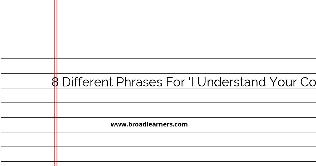 8-effective-alternatives-to-i-understand-your-concern-with-examples