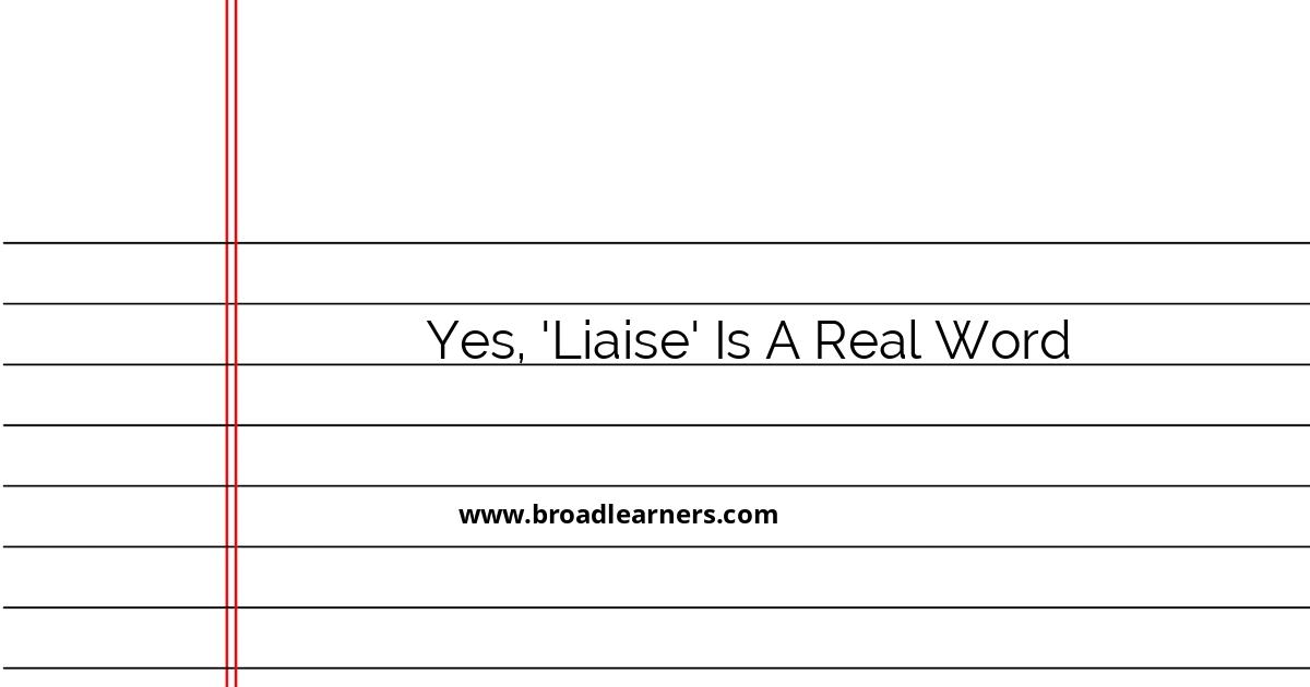 understanding-the-real-word-liaise-a-guide-for-beginners